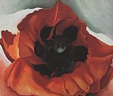 Poppy by Georgia O'Keeffe